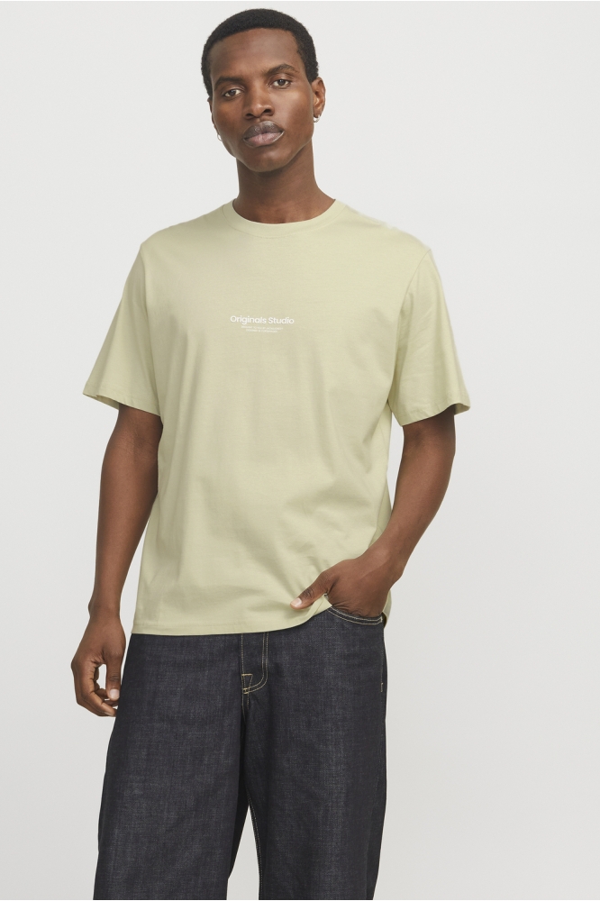 JORVESTERBRO TEE SS CREW NECK NOOS 12240121 Celadon Tint